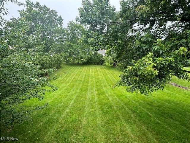 29123 Ridge Rd, Wickliffe, OH 44092 - view of green lawn