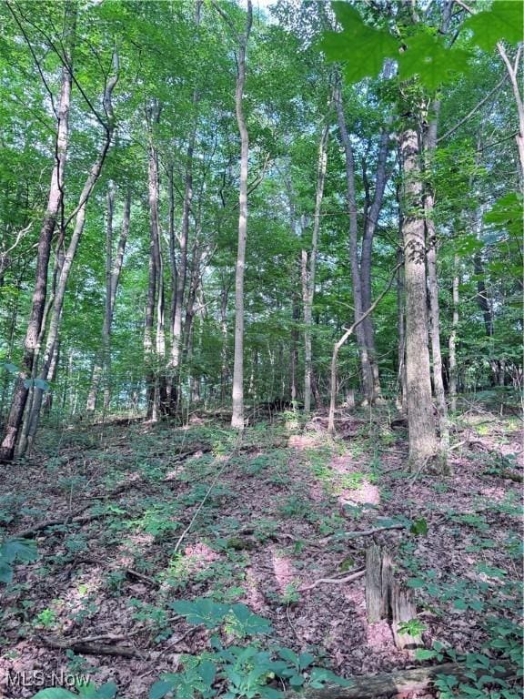 50530 Wargo Rd, Caldwell, OH 43724