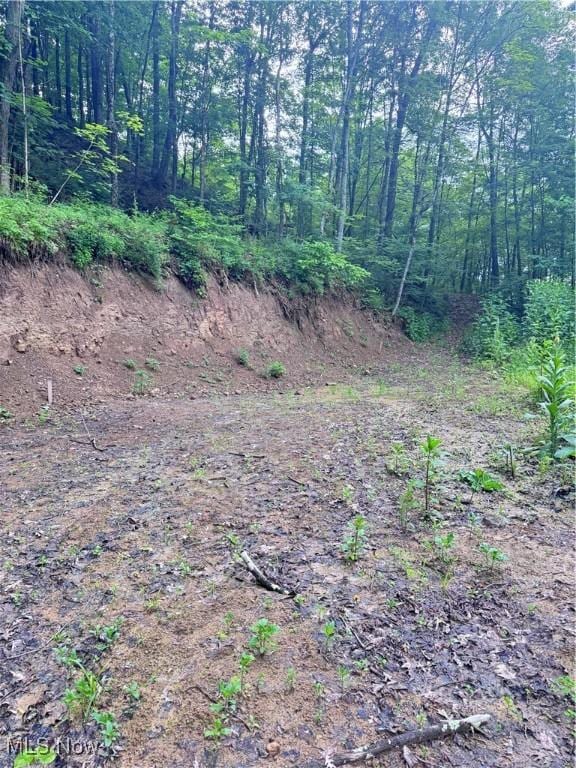 50530 Wargo Rd, Caldwell, OH 43724