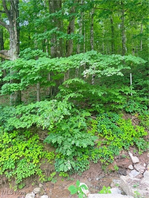 50530 Wargo Rd, Caldwell, OH 43724