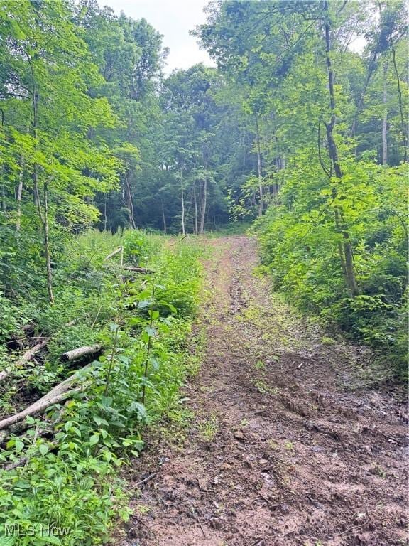 50530 Wargo Rd, Caldwell, OH 43724