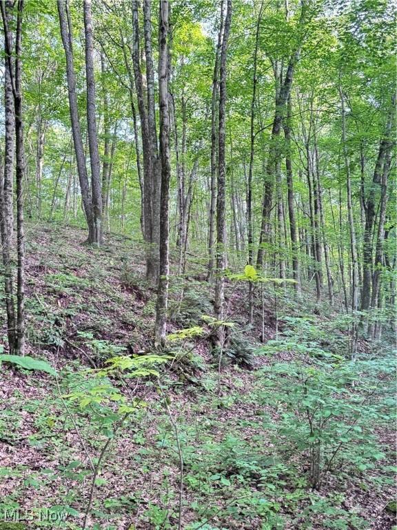 50530 Wargo Rd, Caldwell, OH 43724