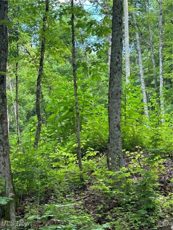 50530 Wargo Rd, Caldwell, OH 43724