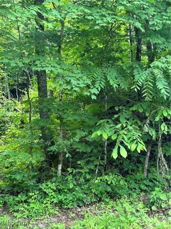50530 Wargo Rd, Caldwell, OH 43724