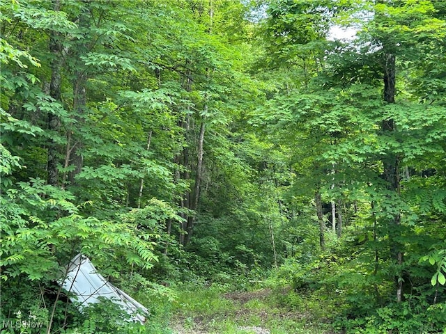 50530 Wargo Rd, Caldwell, OH 43724