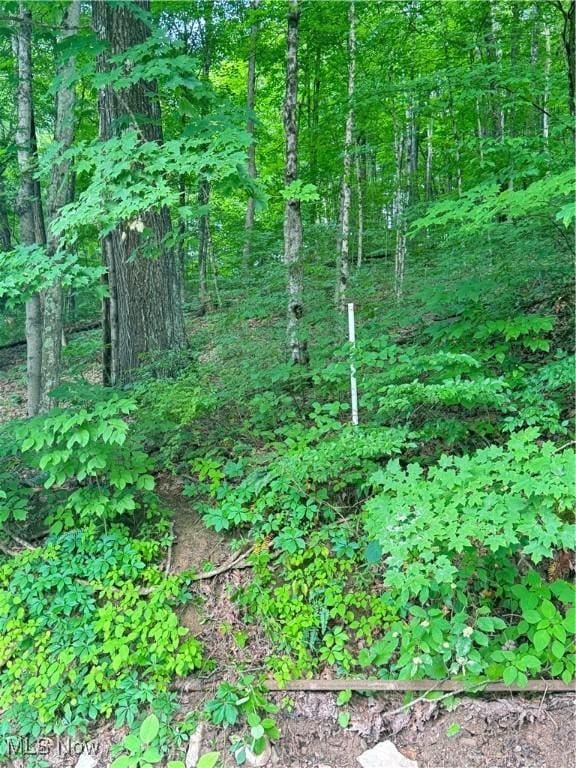 50530 Wargo Rd, Caldwell, OH 43724