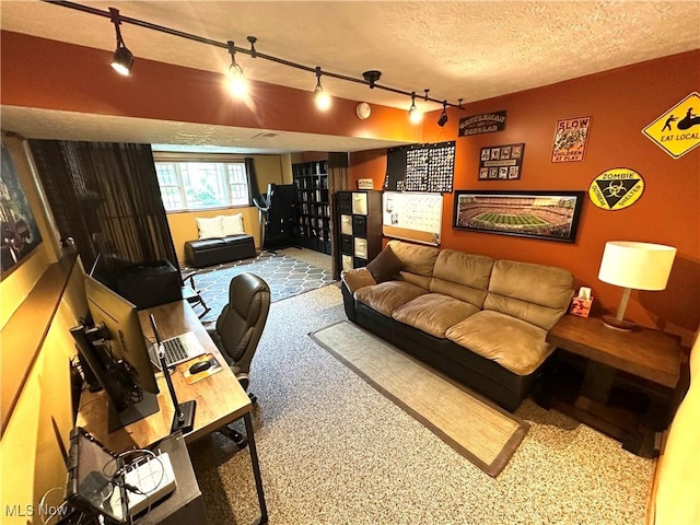 132 Dennis Dr, Cortland, OH 44410 - living room featuring rail lighting and carpet