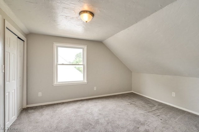 640 E 261st St, Euclid, OH 44132 - additional living space with carpet, lofted ceiling, and a textured ceiling