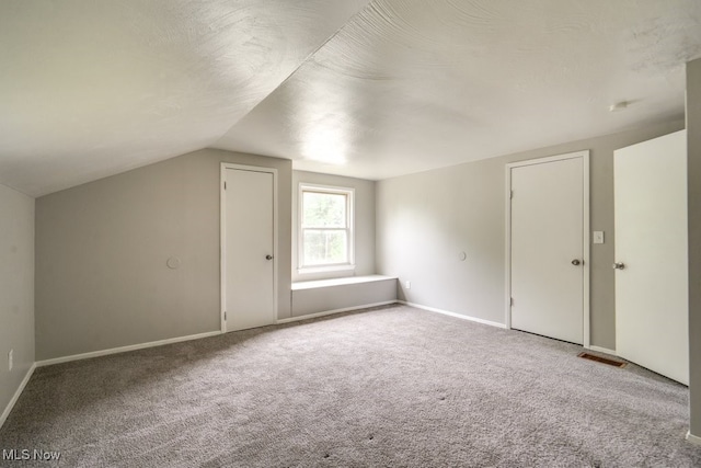 640 E 261st St, Euclid, OH 44132 - bonus room featuring carpet and lofted ceiling