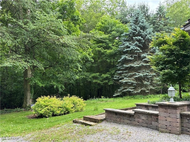 38474 Longs Crossing Rd, Leetonia, OH 44431 - view of property's community featuring a wooded view and a yard