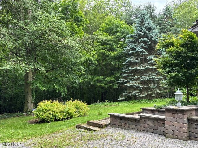38474 Longs Crossing Rd, Leetonia, OH 44431 - view of property's community with a wooded view