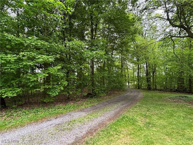 38474 Longs Crossing Rd, Leetonia, OH 44431 - view of dirt / gravel road with a forest view