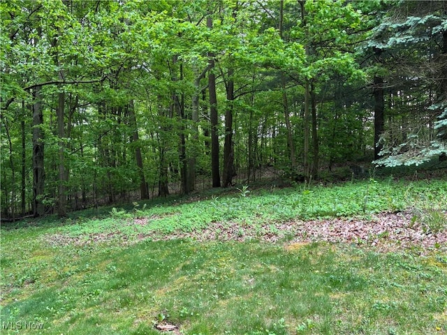 38474 Longs Crossing Rd, Leetonia, OH 44431 - view of tree filled area