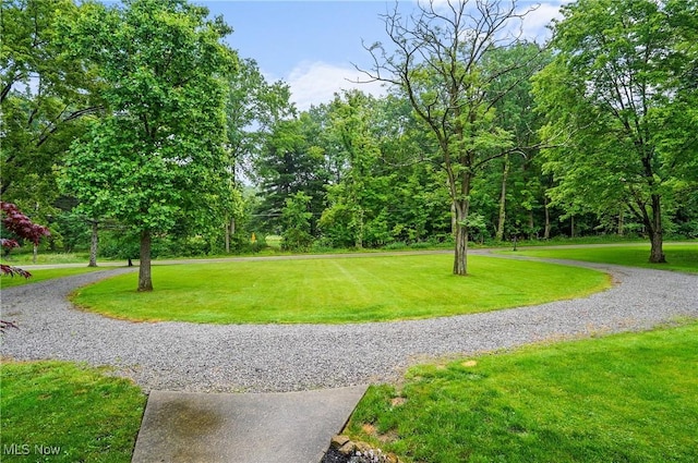 7436 Crory Rd, Canfield, OH 44406 - view of community featuring a yard