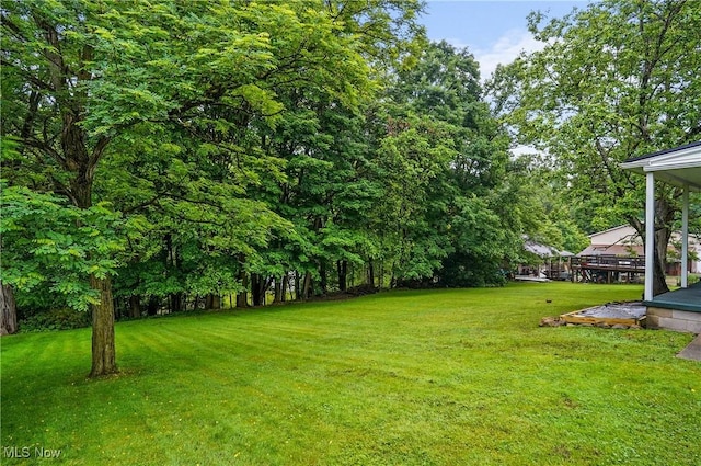 7436 Crory Rd, Canfield, OH 44406 - view of grassy yard