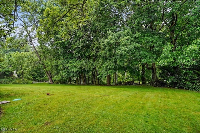 7436 Crory Rd, Canfield, OH 44406 - view of grassy yard