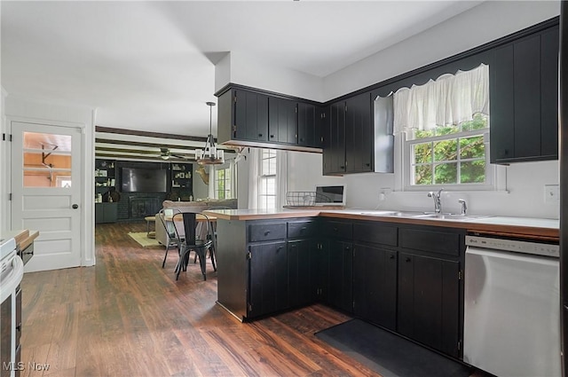 7436 Crory Rd, Canfield, OH 44406 - kitchen featuring stainless steel dishwasher, dark wood-style flooring, dark cabinets, and a peninsula