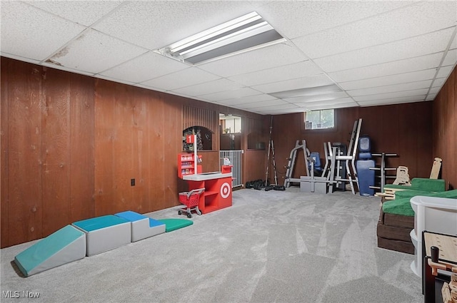 7436 Crory Rd, Canfield, OH 44406 - playroom with carpet floors, wood walls, and a paneled ceiling