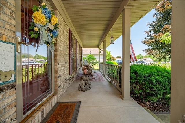3661 Meander Reserve Cir, Canfield, OH 44406 - view of porch