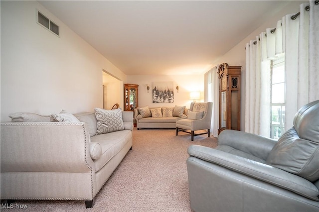 3661 Meander Reserve Cir, Canfield, OH 44406 - living room featuring light colored carpet