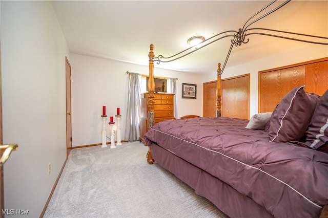 3661 Meander Reserve Cir, Canfield, OH 44406 - bedroom featuring light carpet and two closets