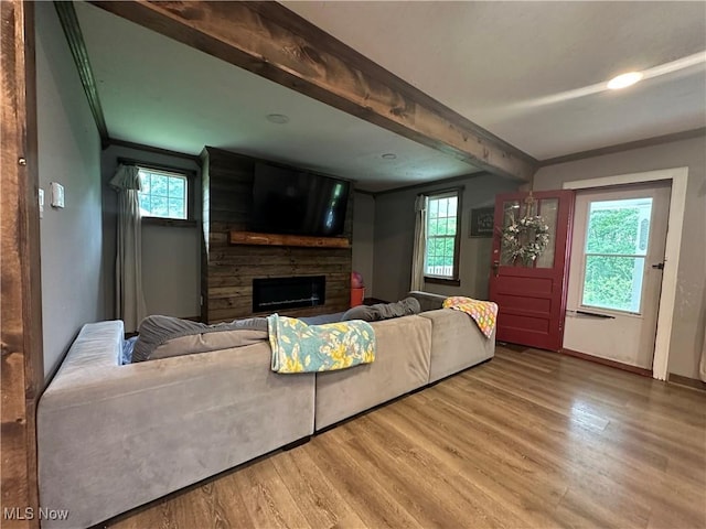 5130 Winfield St NE, East Canton, OH 44730 - living room with a fireplace, wood finished floors, healthy amount of natural light, beam ceiling, and crown molding