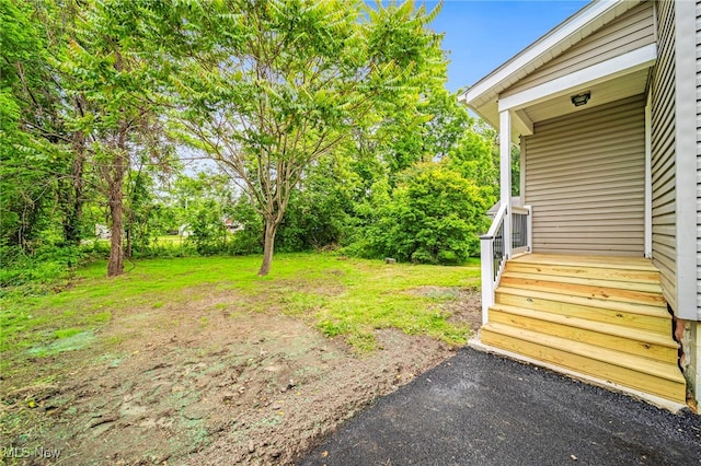 1115 W 43rd St, Ashtabula, OH 44004 - view of yard