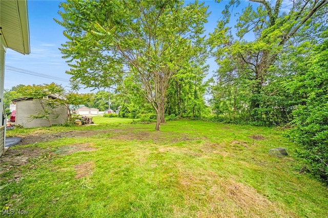 1115 W 43rd St, Ashtabula, OH 44004 - view of grassy yard