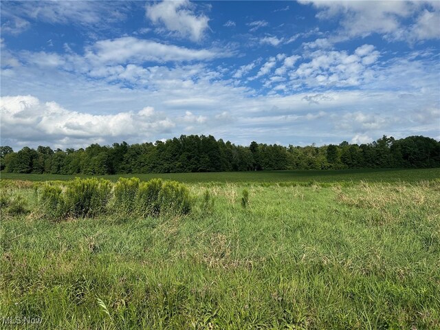 V/L4 Fenstermaker Rd, Garrettsville, OH 44231 - photo 15