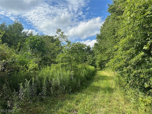 V/L2 Fenstermaker Rd, Garrettsville, OH 44231