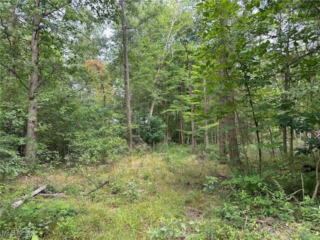 V/L2 Fenstermaker Rd, Garrettsville, OH 44231