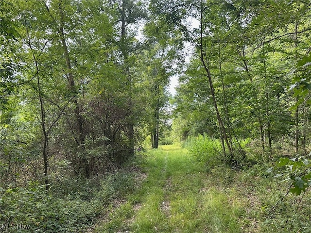 V/L2 Fenstermaker Rd, Garrettsville, OH 44231