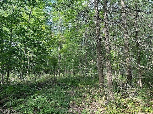 V/L2 Fenstermaker Rd, Garrettsville, OH 44231