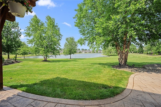 34782 Legends Way, Grafton, OH 44044 - view of grassy yard featuring a water view