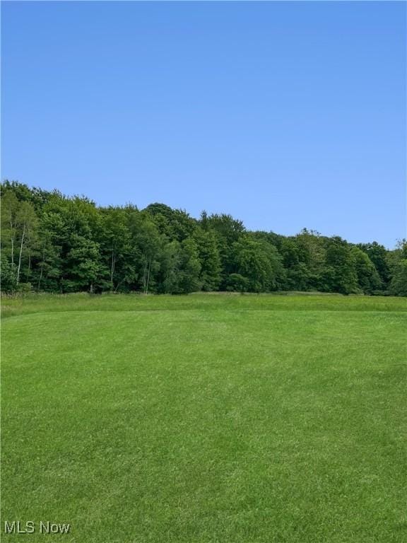 4182 Reger Rd, Conneaut, OH 44030 - view of green lawn featuring a forest view and a view of rural / pastoral area