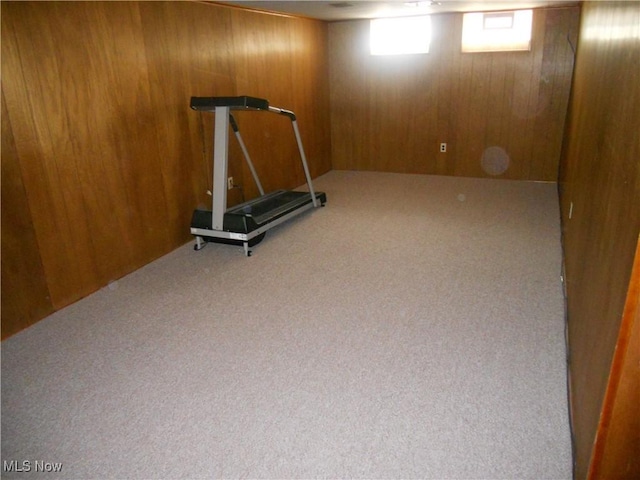 374 Clarmont Rd, Willowick, OH 44095 - workout area with wood walls and carpet floors