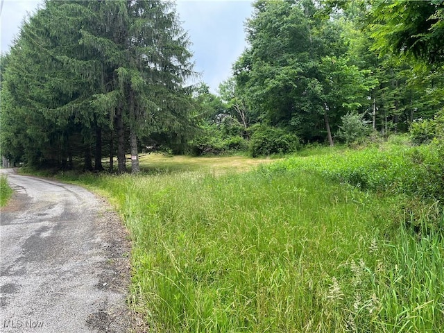 382 Bluestone Dr, Weirton, WV 26062 - view of road featuring a wooded view