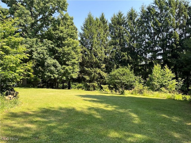 382 Bluestone Dr, Weirton, WV 26062 - view of grassy yard