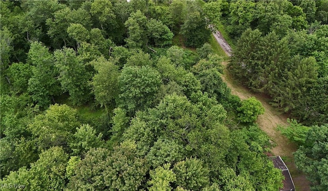 382 Bluestone Dr, Weirton, WV 26062 - view of property location
