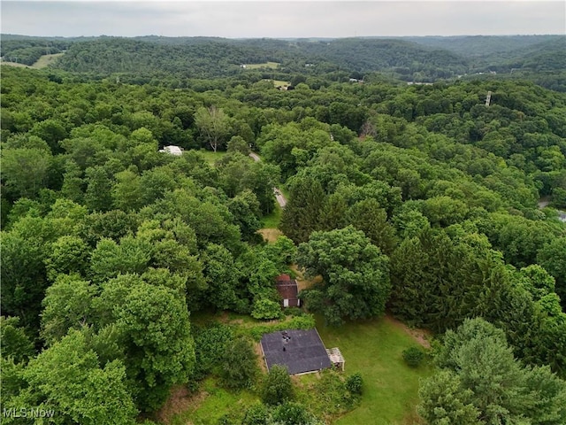 382 Bluestone Dr, Weirton, WV 26062 - bird's eye view of a heavily wooded area
