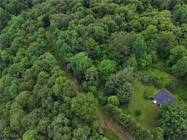 382 Bluestone Dr, Weirton, WV 26062 - aerial view of property's location featuring a forest
