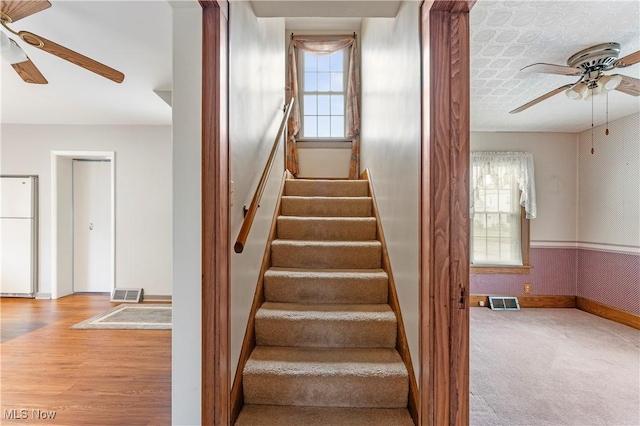 119 5th St SW, Strasburg, OH 44680 - stairway featuring a ceiling fan, wallpapered walls, and plenty of natural light