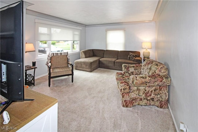 517 Linwood Ct, Port Clinton, OH 43452 - living room featuring carpet flooring