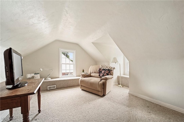 1499 Redwood Ave, Akron, OH 44301 - living area with carpet floors, lofted ceiling, and a textured ceiling