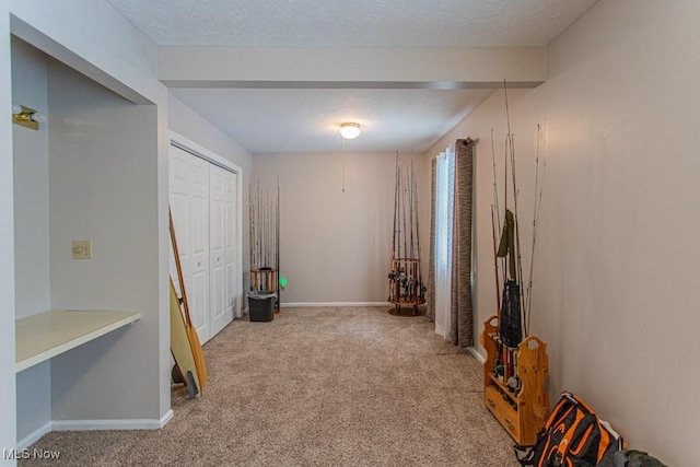 449 Westchester Dr SE, Warren, OH 44484 - corridor with carpet floors and a textured ceiling