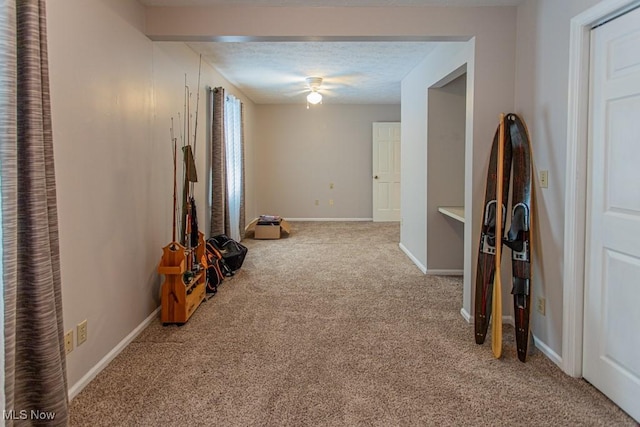 449 Westchester Dr SE, Warren, OH 44484 - hall with carpet and baseboards