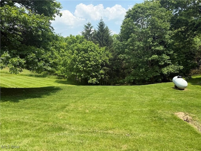 19693 Dudley Rd, Caldwell, OH 43724 - view of grassy yard