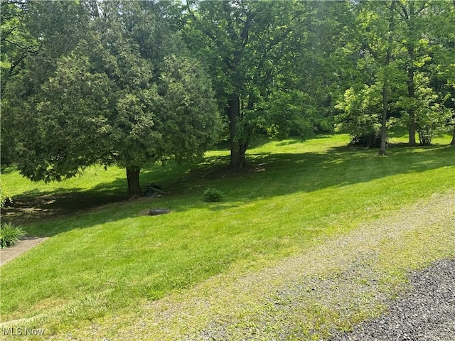 19693 Dudley Rd, Caldwell, OH 43724 - view of grassy yard