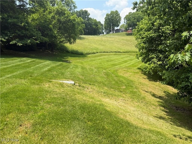 19693 Dudley Rd, Caldwell, OH 43724 - view of green lawn