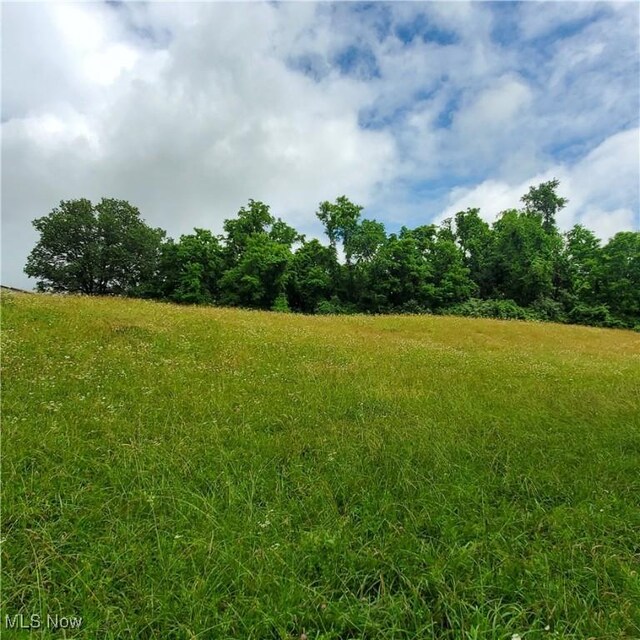 19693 Dudley Rd, Caldwell, OH 43724 - view of local wilderness